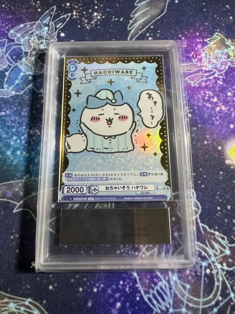 ねちゃいそう　ハチワレ　SSP ヴァイスシュヴァルツブラウ WSB ねちゃいそう ハチワレ SSP