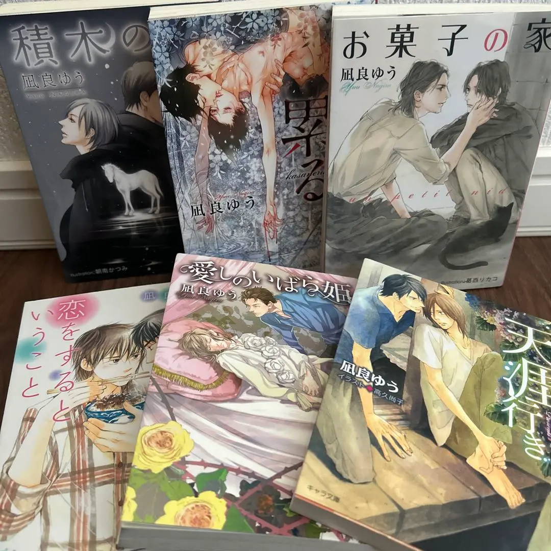 凪良ゆう　BL小説　まとめ売り　9冊　愛しのいばら姫 凪良ゆう BL小説 まとめ売り 9冊 愛しのいばら姫 - メルカリ