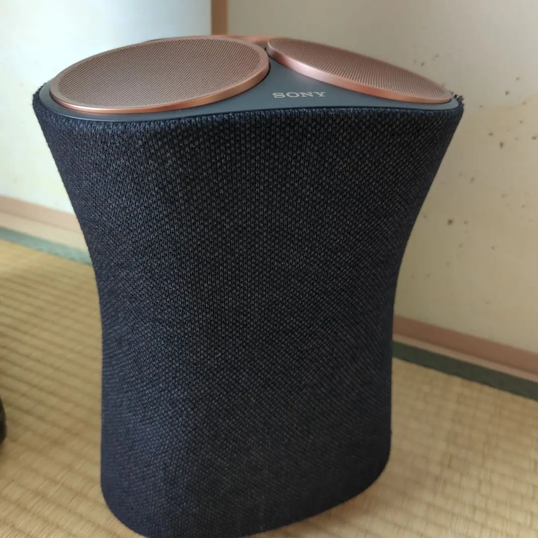 SONY SRS-RA5000 価格比較 - 価格.com