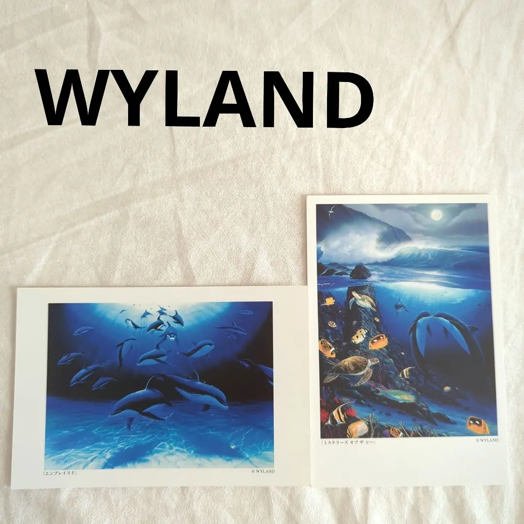 2025年最新】wylandの人気アイテム - メルカリ