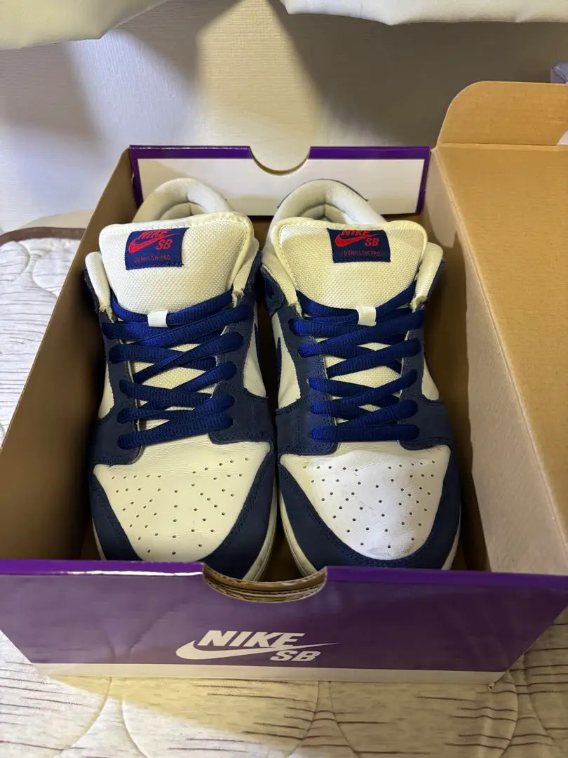 2025年最新】nike sb dunk low 