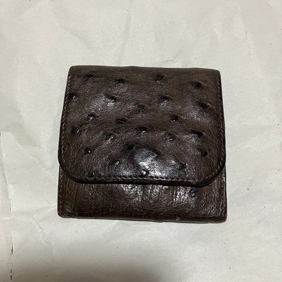 未使用　オーストリッチ　コインケース　高級　KWANPEN　クワンペン　箱袋あり kwnpen オーストリッチ コインケースの通販 by 傷だらけの