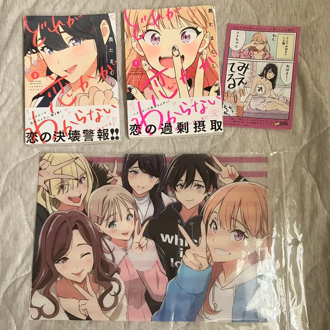 Thumbnail of I Don't Know Which is Love Compilation Special Edition Clear File & Postcard Set