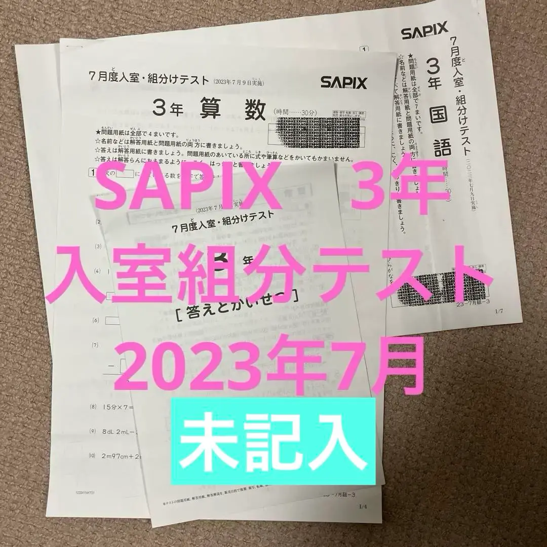 2023年度日能研4年生育成テスト(一年分フルセット)、夏期講習特別テスト 日能研 2022年度 4年生 学習力育成テスト等フルセット 全22回分