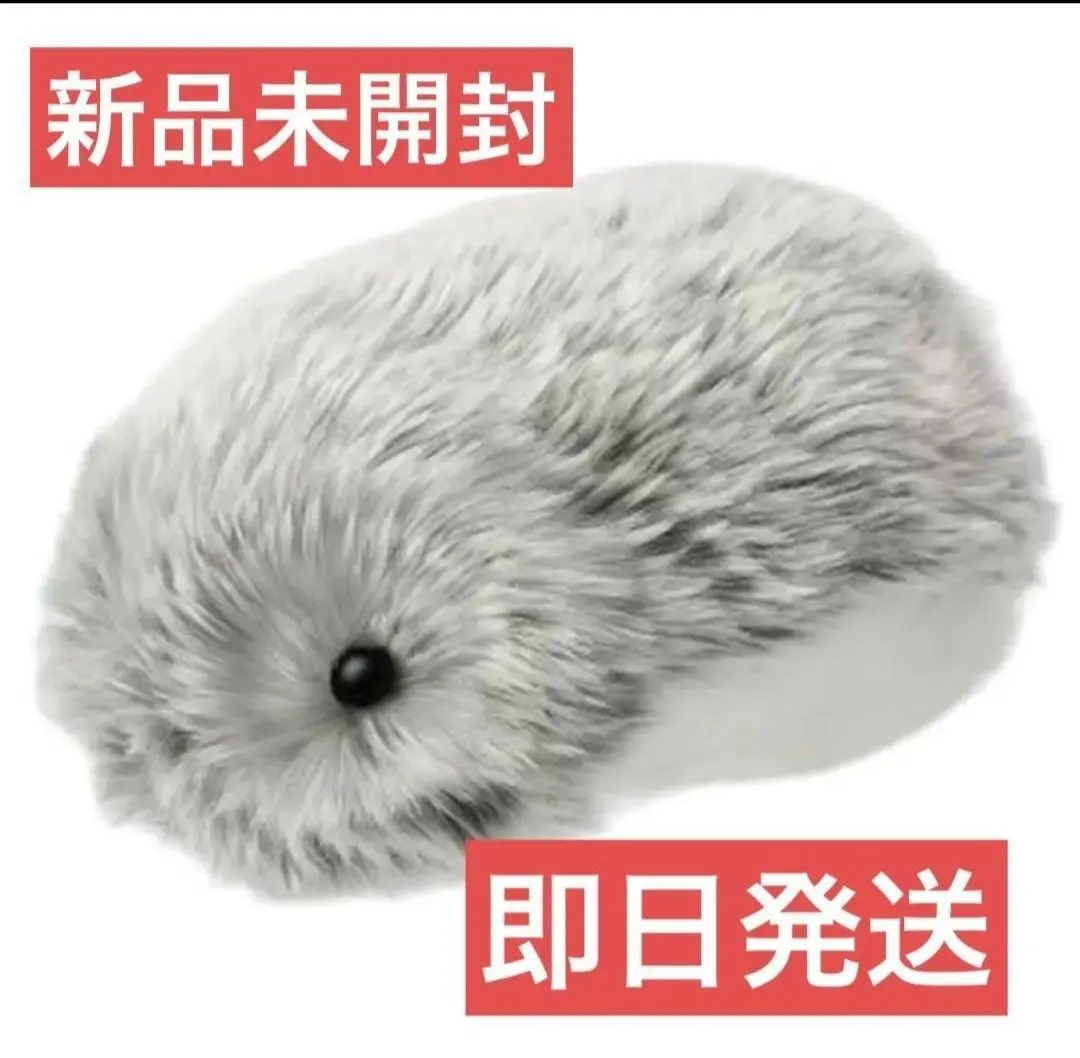 2025年最新】CASIO ぬいぐるみの人気アイテム - メルカリ