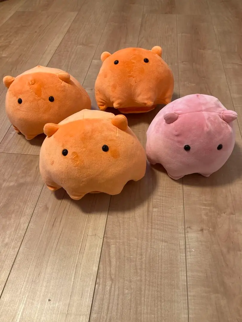 Amazon.co.jp: めんだこゴロゴロギミック めんだこ メンダコ