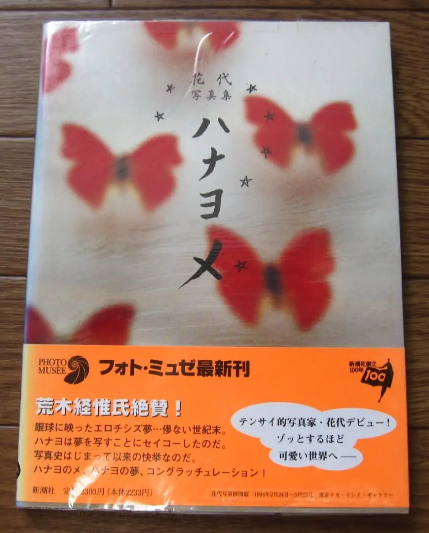 ベルリン　花代　　月曜社　//写真集 花代 / ベルリン - Thursday Books