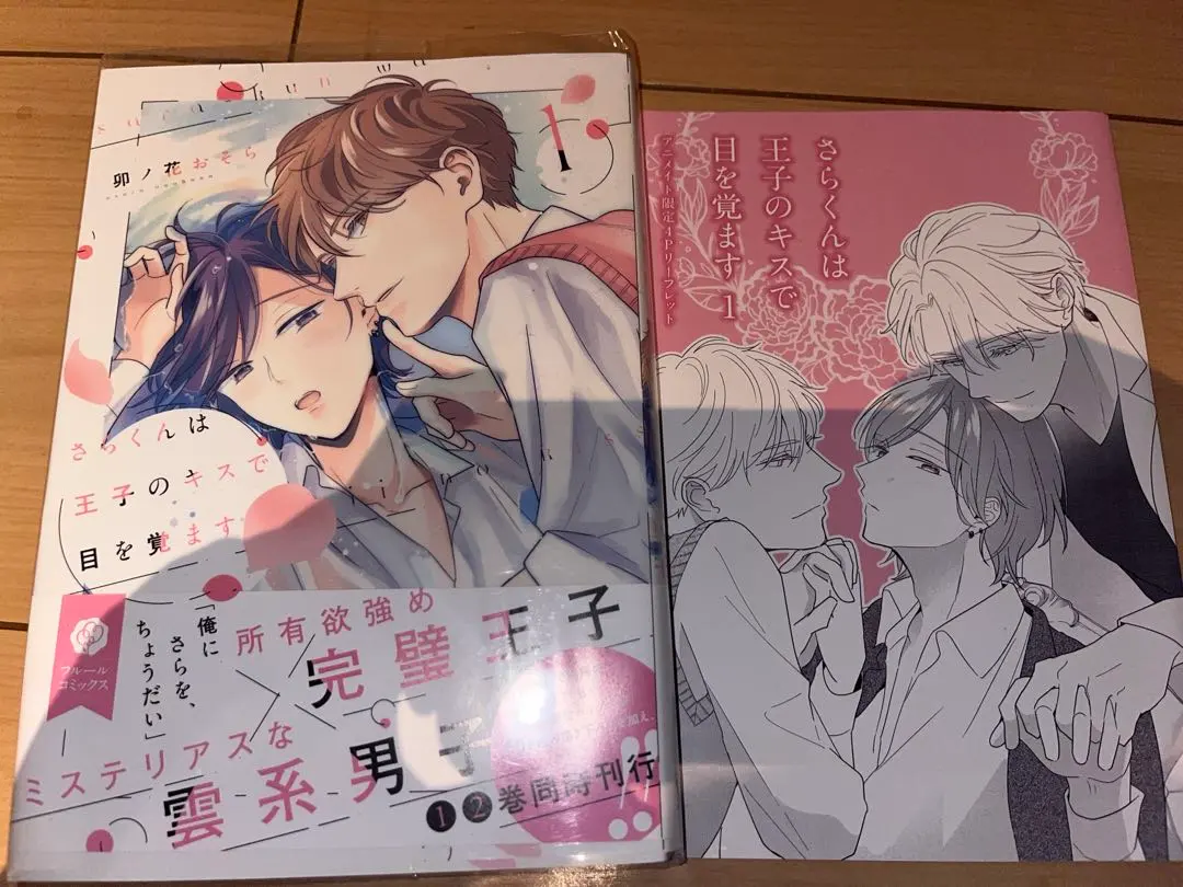 Thumbnail of Saraku wakes up with a kiss from the prince.