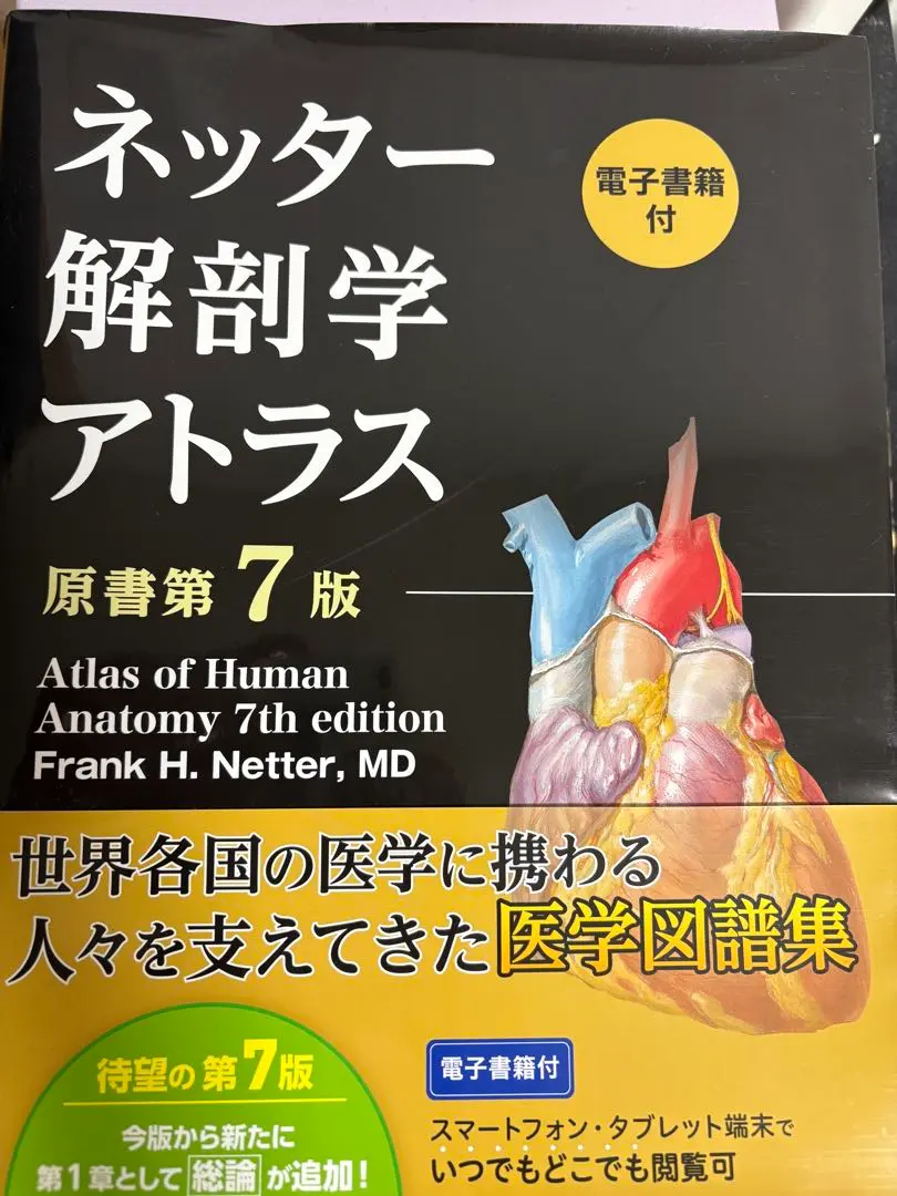 2025年最新】ネッター解剖学アトラス 7版の人気アイテム - メルカリ
