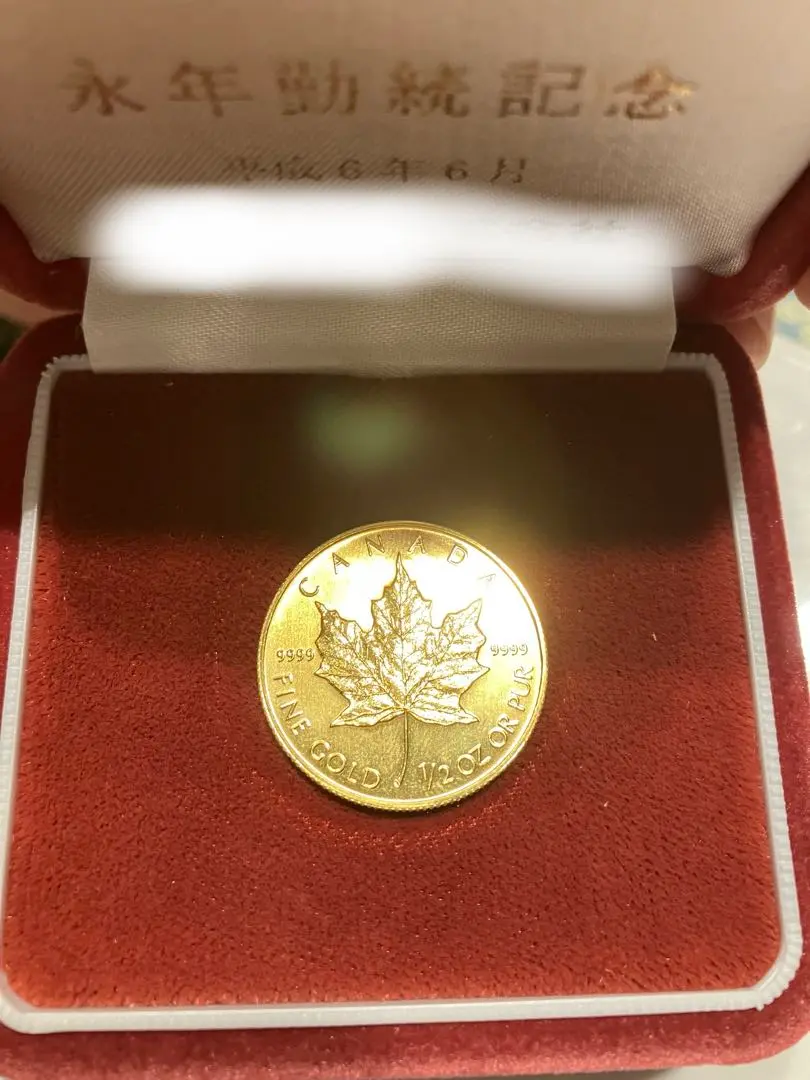 本日のカナダ 1/2oz メイプルリーフ金貨 20ドル K24(純金・24金