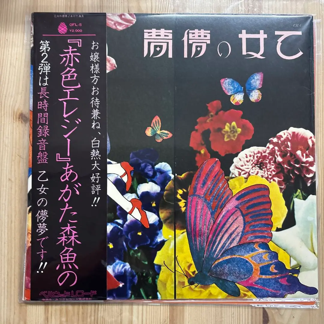 美品激レアレコード やぎ iL Neige レコード あがた森魚 太田螢一 72【EP】あがた森魚 - 赤色エレジー | 音盤窟レコード