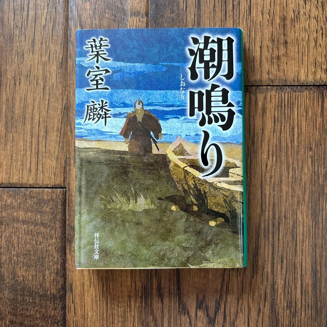 2025年最新】葉室麟 文庫本 中古の人気アイテム - メルカリ