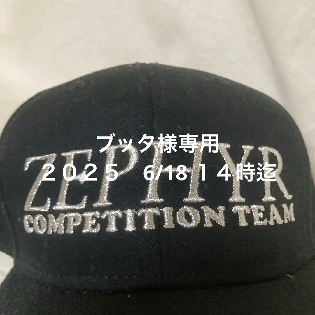 DOGTOWN ZEPHYR tシャツ ドッグタウン ロードオブドッグタウン