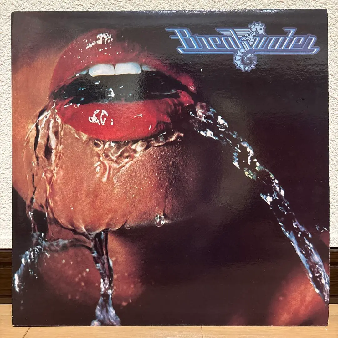 Breakwater Splashdown レコード 2点セット LP アナログ Breakwater – Splashdown – Vinyl (LP, Album), 1980 [r24072881