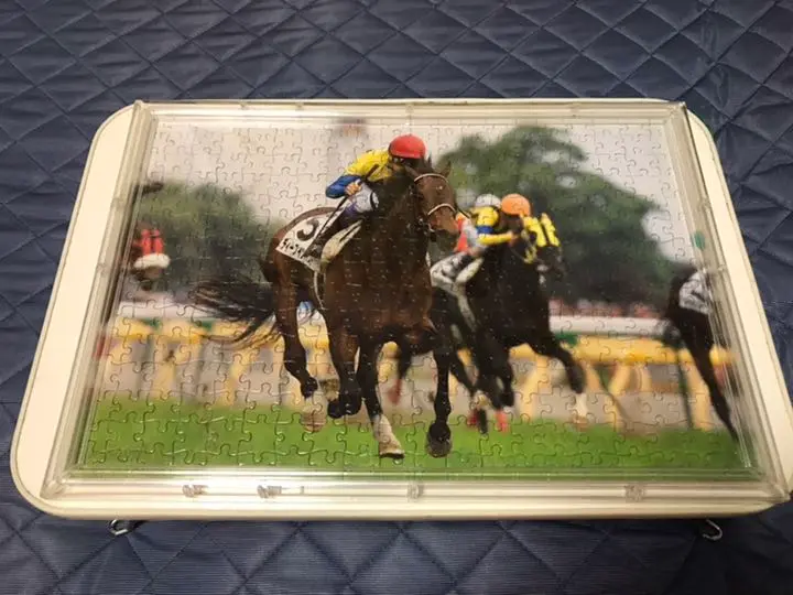 ディープインパクト 有馬記念 ジグソーパズル1000 ジグソーパズル 1000ピース ディープインパクト 日本ダービー