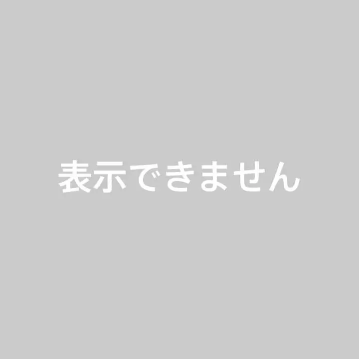 年末最終値下げ❣️フェイラー ラブラリー ハッピーバッグ