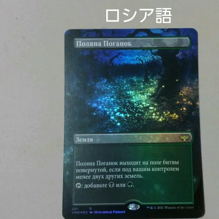 MTG 死天狗茸の林間地 Foil ボーダレス ロシア語 2025年最新】死天狗茸の林間地の人気アイテム - メルカリ