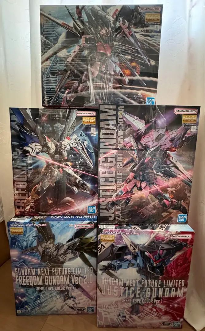 2025年最新】mg ジャスティスガンダム リアルタイプカラーの人気
