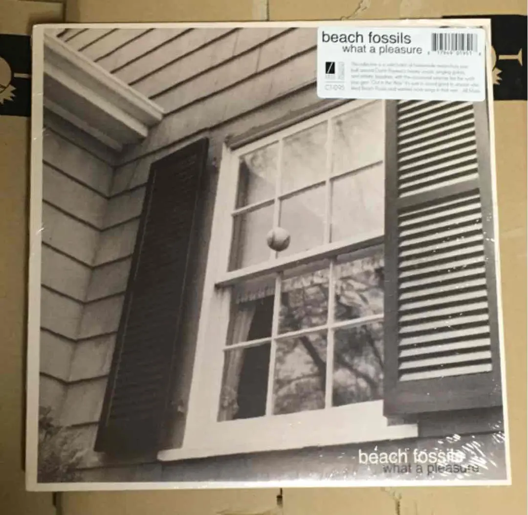 【新品未開封】【レコード】Beach Fossils バニー Beach Fossils – Bunny – Vinyl (White [Opaque], LP, Album