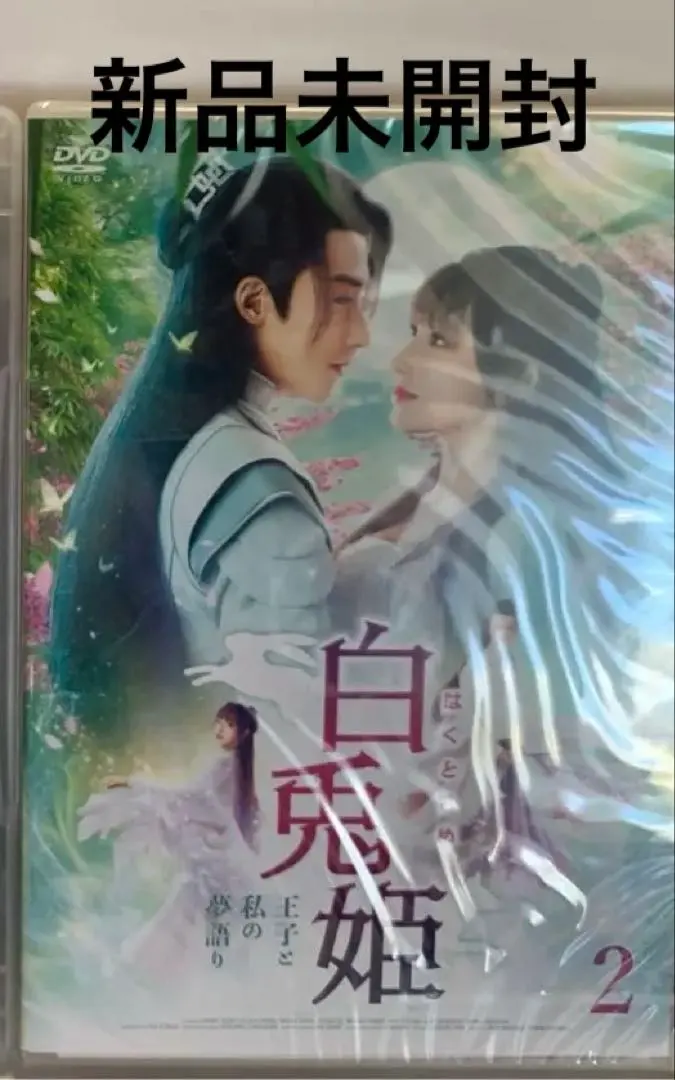 中国ドラマ玉昭令 DVD 全巻 チャン・イーシャン レンタル落ち