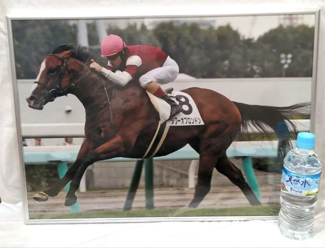 2025年最新】優勝馬記念パネルの人気アイテム - メルカリ