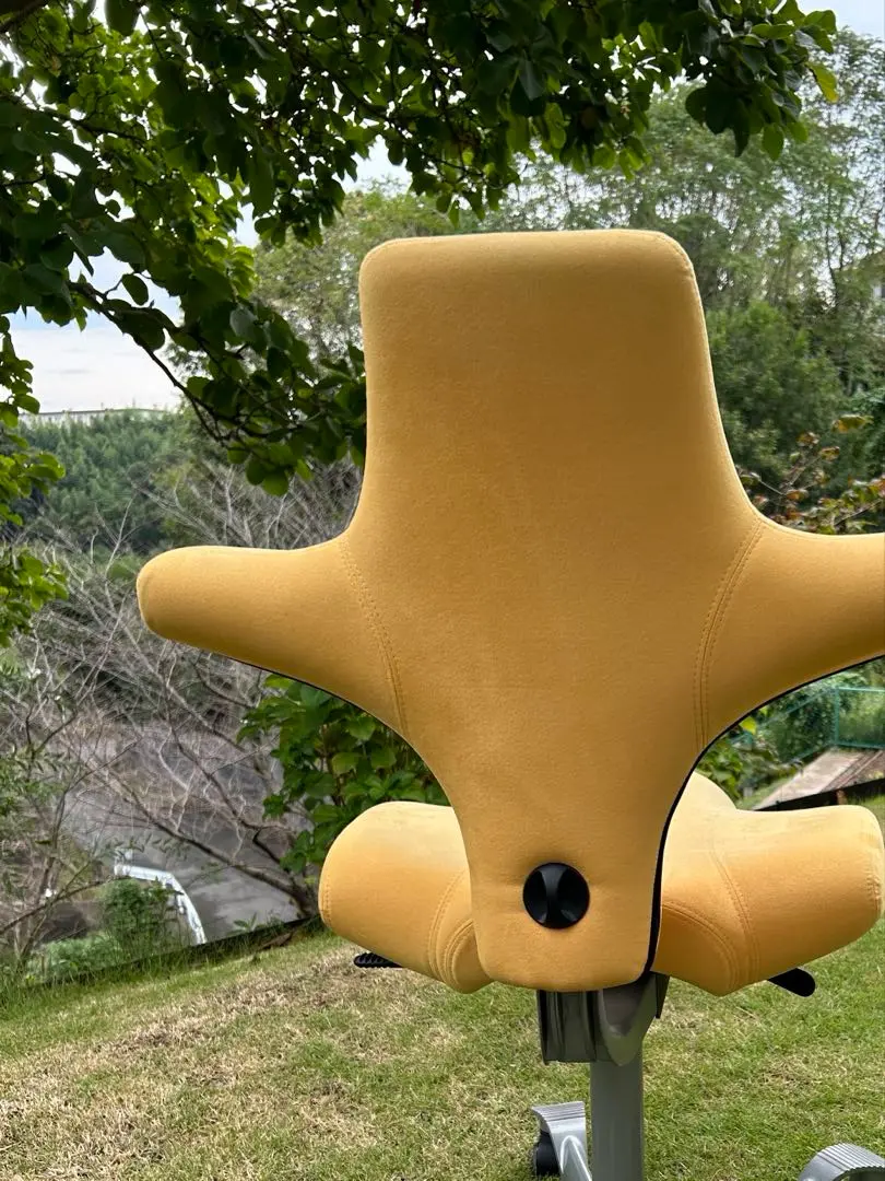 ◆未使用品◆HAG ホーグ FTフトゥチェア　13.7万　メッシュチェア　モダン HAG Futuチェア ( フトゥ メッシュチェア ワークチェア オフィス