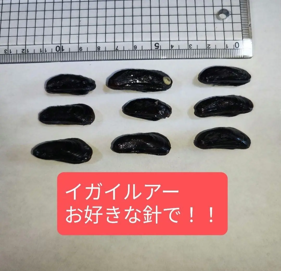 2025年最新】フジツボルアーの人気アイテム - メルカリ