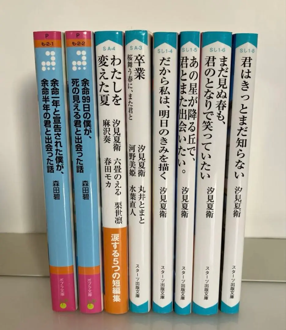 Thumbnail of I want to meet you again on that hill where the stars fall. You surely don't know yet, 8 other books set