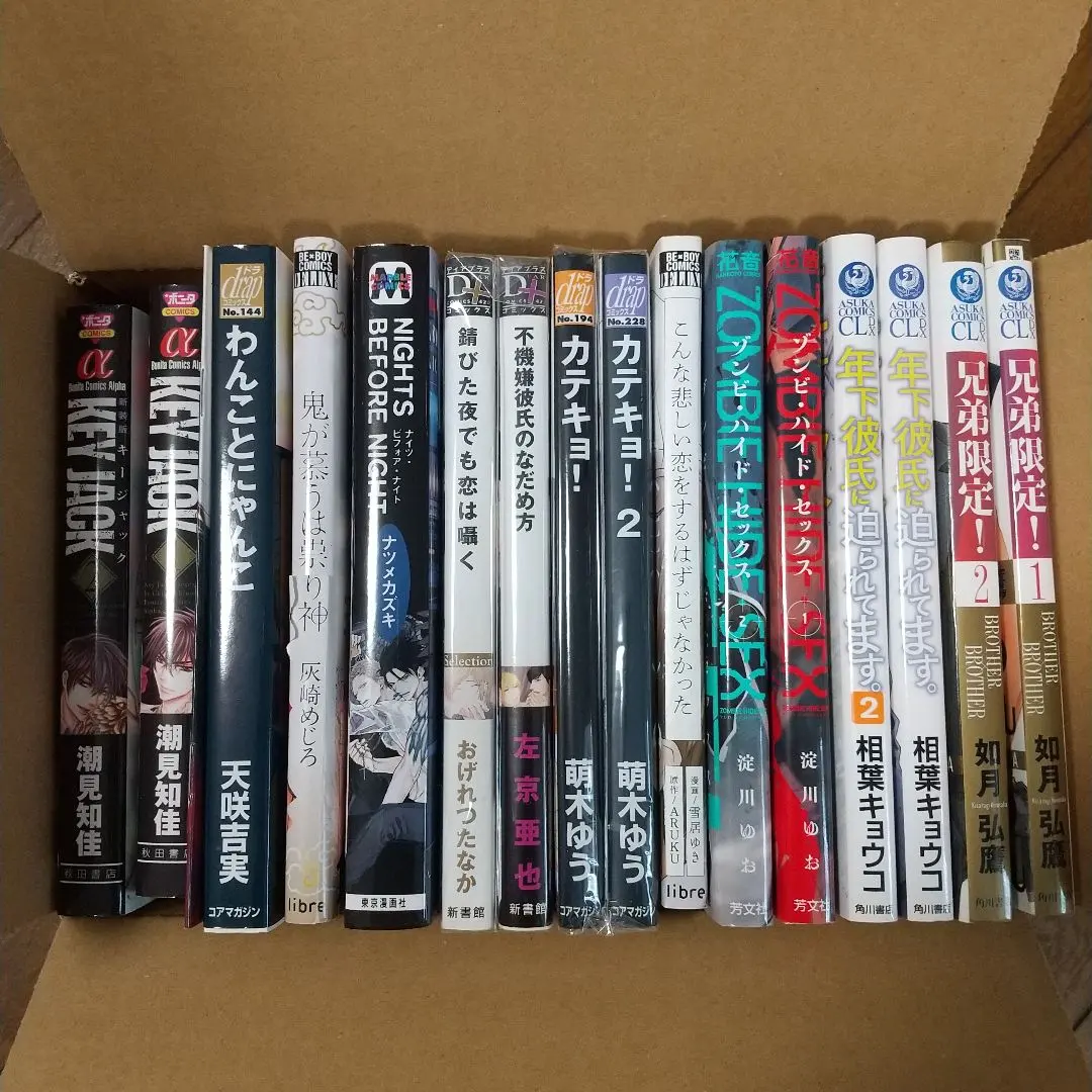 Thumbnail of BL Comics - Bundle of 16 books + booklet