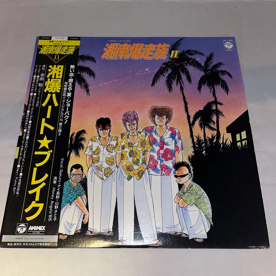 2025年最新】lp 湘南爆走族の人気アイテム - メルカリ
