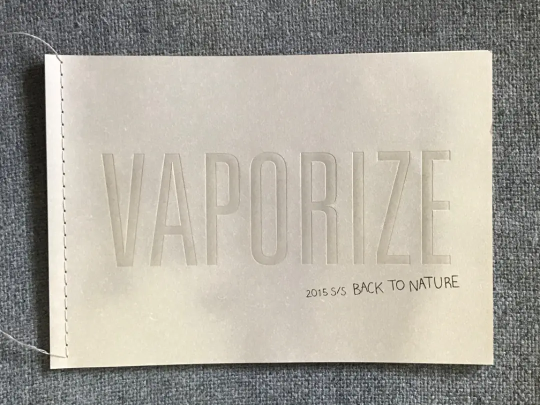 VANQUISH 2015 A/W カタログ　三辻茜 VANQUISH 2015 A/W カタログ 三辻茜
