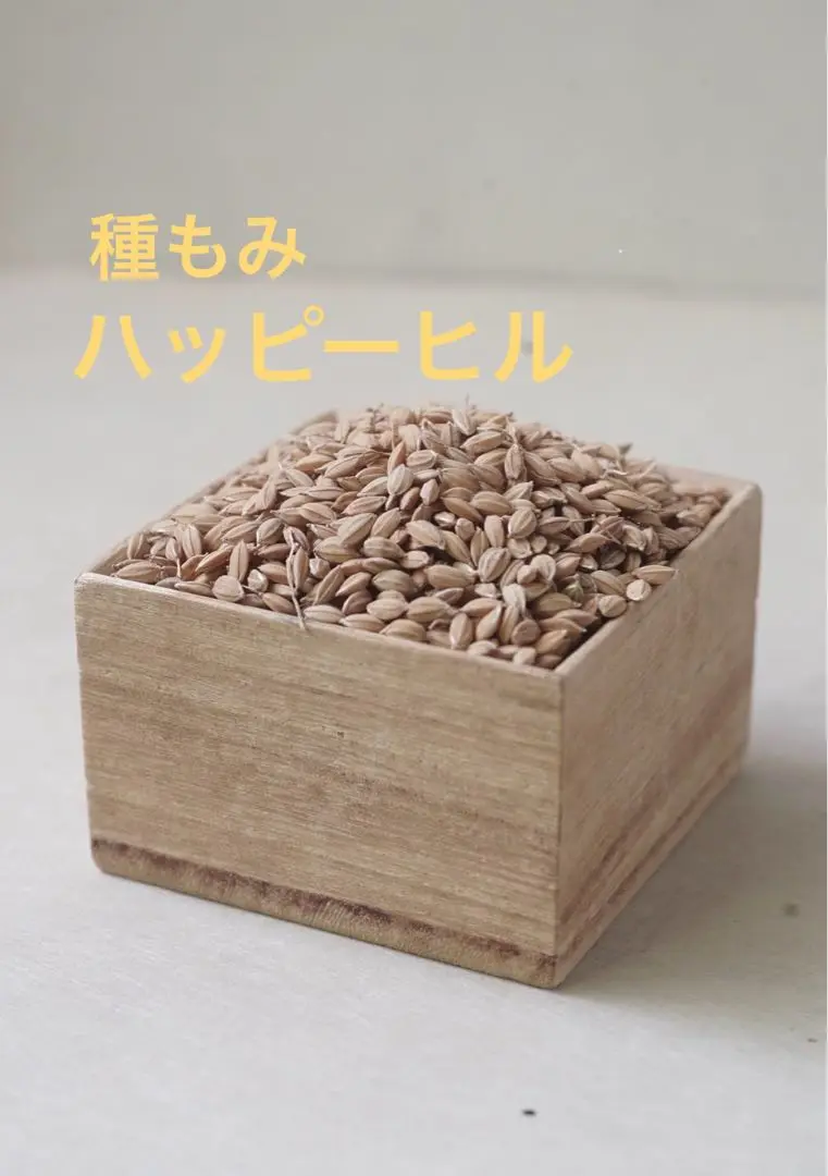 愛媛県産 水稲うるち玄米 20kg 2022年産 愛媛県産 水稲うるち玄米 20kg 2022年産