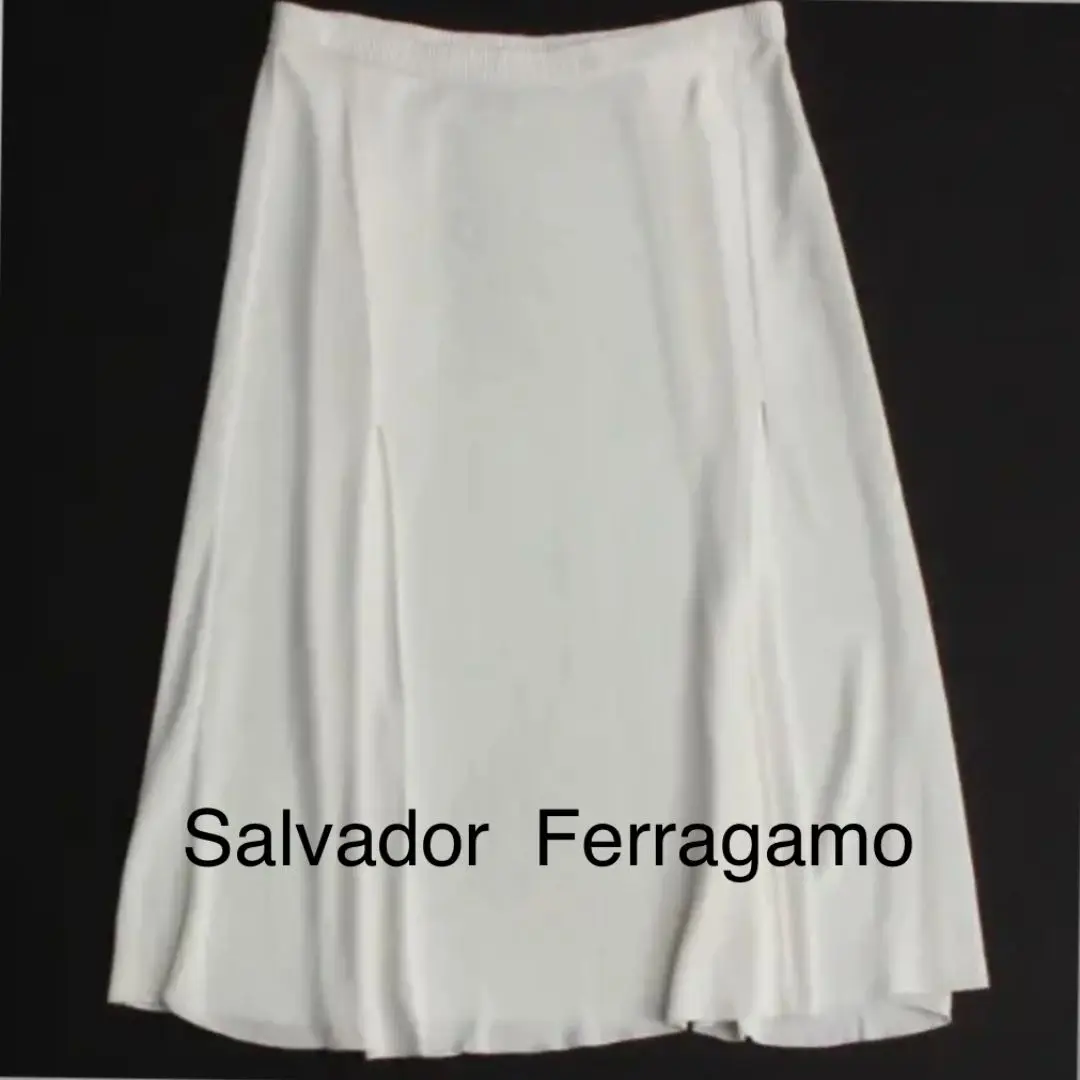 2025年最新】Salvatore Ferragamo ロングスカートの人気アイテム