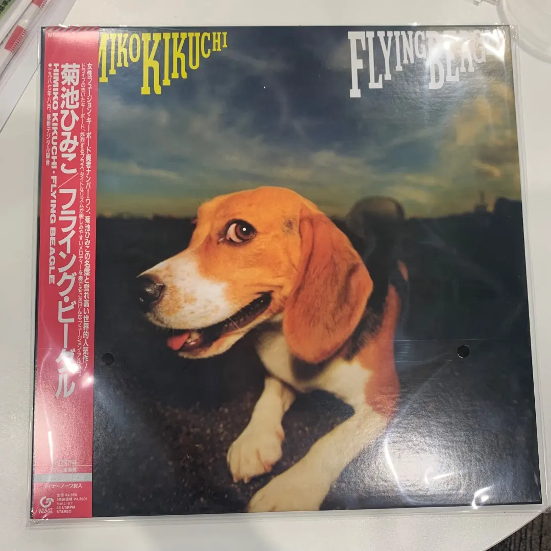 2025年最新】菊池ひみこ レコードの人気アイテム - メルカリ