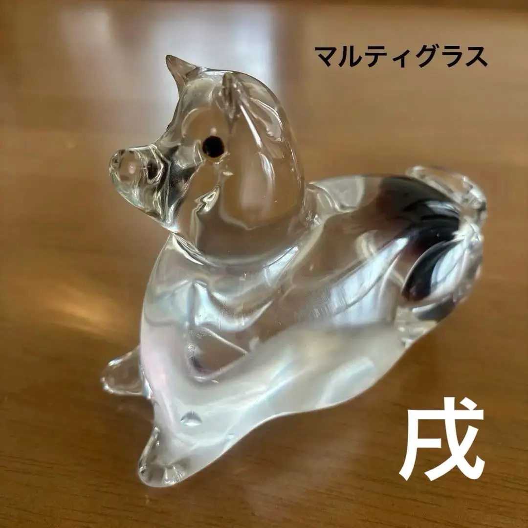 2025年最新】マルティグラス 犬の人気アイテム - メルカリ