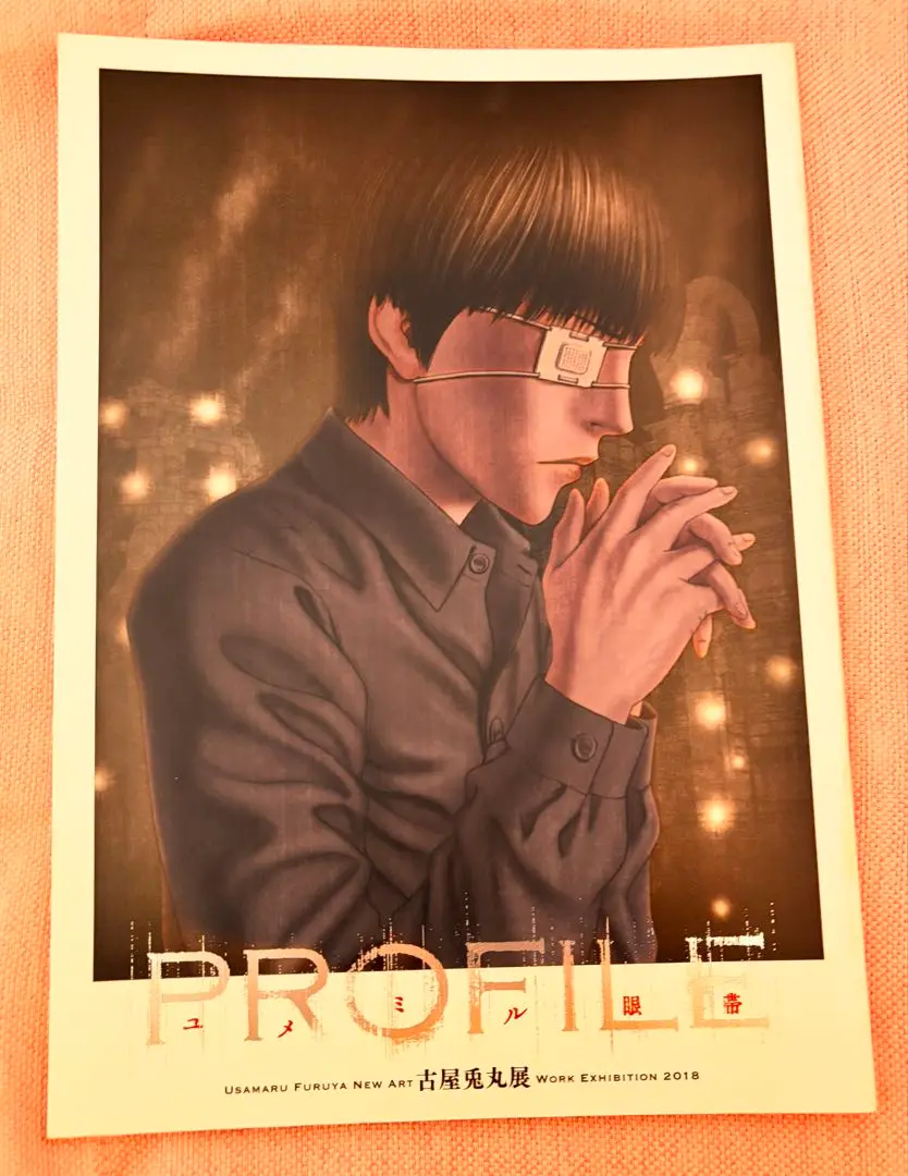 古屋兎丸展 Profile 限定 図録 カタログ ライチ光クラブ Amazon.co.jp: ライチ光クラブ 白昼夢 展覧会図録 古屋兎丸