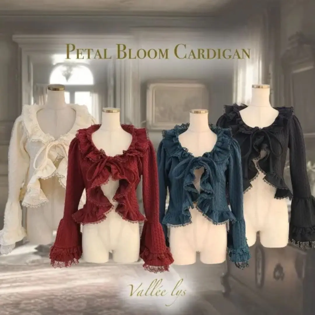 美品✨️ Vallée lys ヴァレリス フリル 黒 ゴスロリ レース 美品✨️ Vallée lys ヴァレリス フリル 黒 ゴスロリ レース