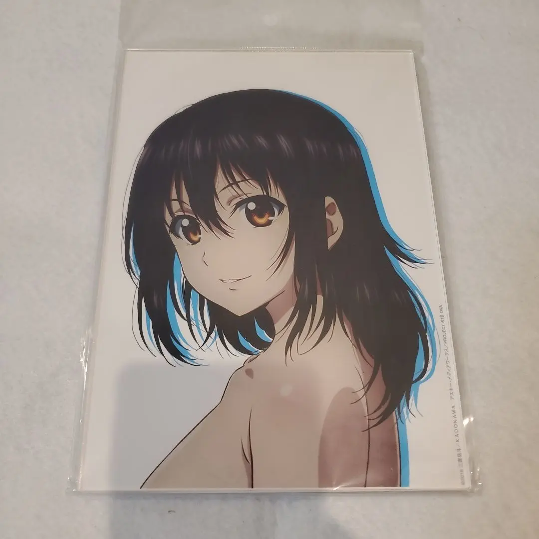 ●ストライク・ザ・ブラッド 新たなる真祖 特典アイテム付きビジュアルブック Amazon.co.jp: ストライク・ザ・ブラッド 新たなる真祖 特典