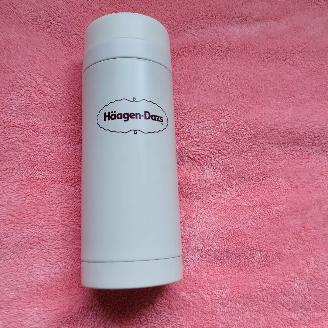 ハーゲンダッツ　キャップ 90's Haagen-Dazs 6パネルCAP - used&vintage box Hi-smile