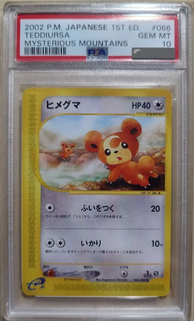 PSA10　鑑定品　ヒメグマ　066 2025年最新】ヒメグマ psa10の人気アイテム - メルカリ
