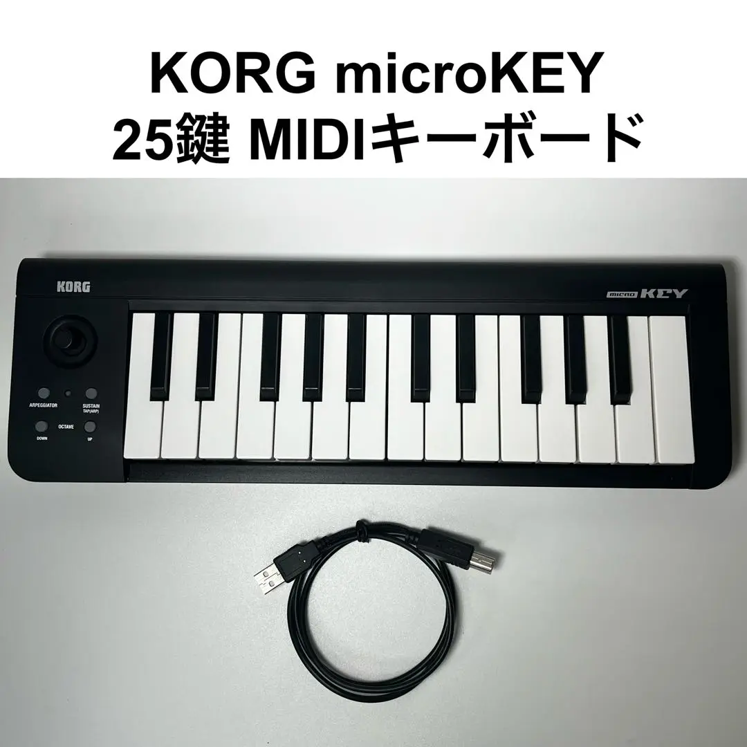 2025年最新】korg microarrangerの人気アイテム - メルカリ