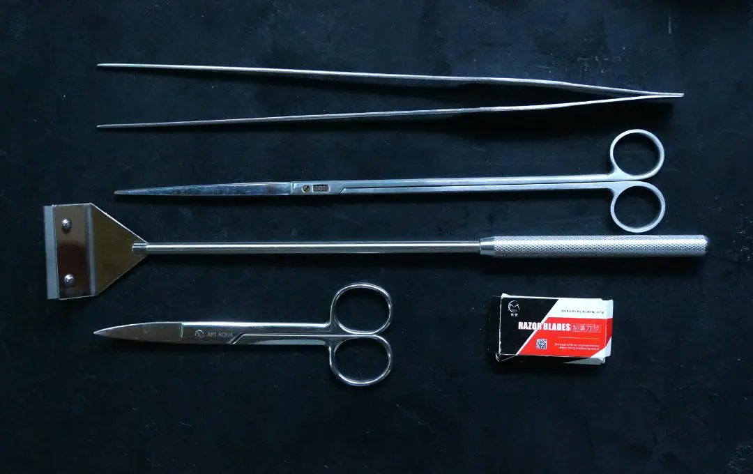 2025年最新】ada プロシザースの人気アイテム - メルカリ