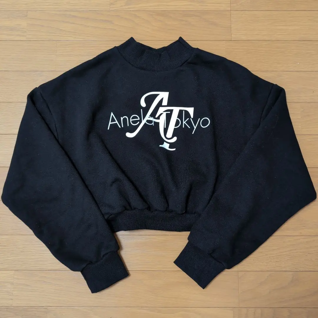 ANELATOKYO アネラトーキョー　バックプリント パーカー グレー パーカー グレー バックプリント 10oz | funwave
