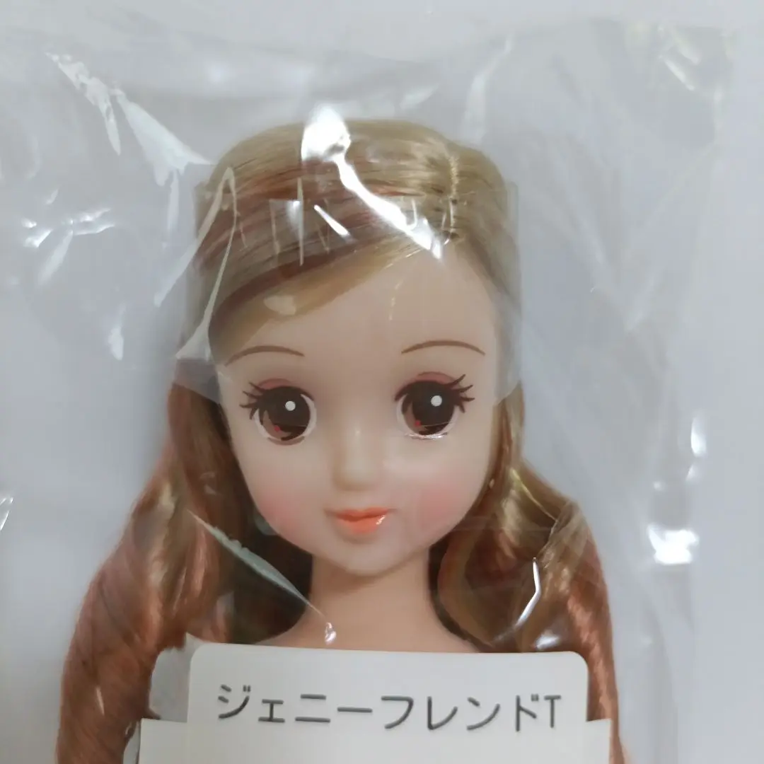 シオンDX  新品未開封　ジェニーフレンド　おたのしみドール 新品未開封】シオン ジェニーフレンド おたのしみドール リカ