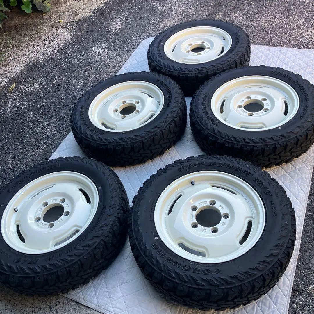 2025年最新】Apio ワイルドボアsrの人気アイテム - メルカリ