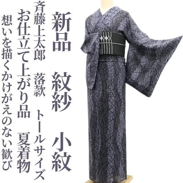 新品 斉藤上太郎 落款 モノトーン“理想郷”着物 正絹 仕付糸付 お召 5180 m26344550920_1.jpg?1752666349