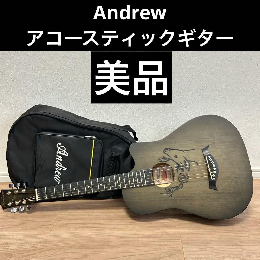 アコースティックギターAndrew White Guitars  ソフトケース付 アコースティックギターAndrew White Guitars ソフトケース付