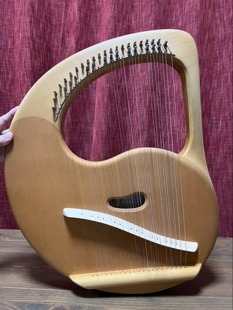 ライアー　ライヤー　35弦　コロイ　choroi　弦楽器　ハープ　竪琴　楽器 Amazon.co.jp: KKRAUS ライアーハープ 19 金属弦 楽器