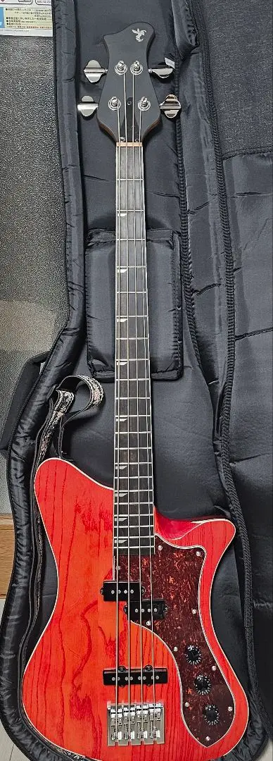ギター Ryoga Skater LEC GBU RYOGA(リョウガ) SKATER/LEC -GBU-入荷！【エレキギター】｜島村