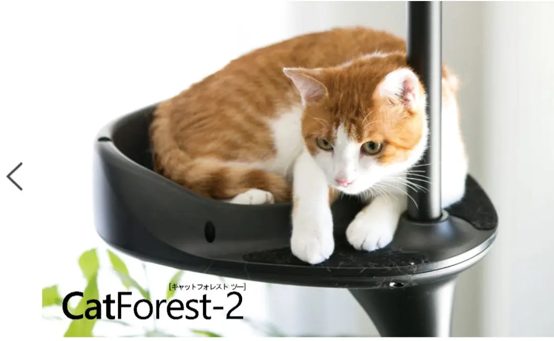 値下げ中⭐️早い者勝ち⭐️OPPO 超美品CatForest-2 ブラック